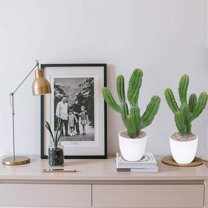 Artificial Cactus 14inch Faux Cacti Fake Succulent Plants for Indoor Outdoor Home Office Garden Decor - size: 14inches