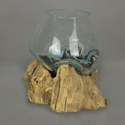 Molten Glass Vase on Teak Driftwood, 7.5 Inch | Clear Hand-Formed Bowl, Natural Wood Base, For Succulents, Air Plants, Herbs or Desktop Terrariums
