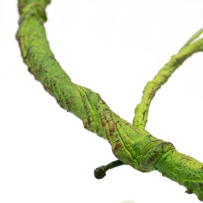 Pangea Reptile Ultimate Vine for Terrarium Habitat (Green) | 6 ' Long Large Diameter Foam Vine for Reptile Enclosures, Bendable, Humidity Resistant, Bendy Offshoot Branches - color: Green