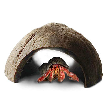 SunGrow Hermit Crab Coconut Cave, Spacious Hide Interior Habitat Comfort Zone, Ascension Coco Shelter Tank Decor Utility, Aquarium Terrarium Accessory Reptile Compatible Enclosure Feature Design