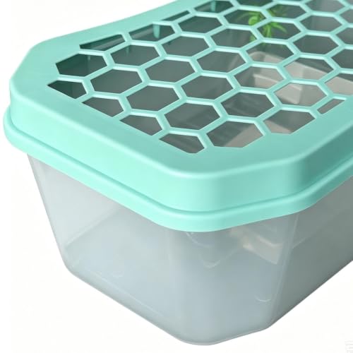 Turtle Aquarium Aquatic Reptile Terrarium | Small Turtle Tank for Living Room Basking Tortoise Crayfish Hermit Crabs Frog Reptile Desktop Home Breeding
