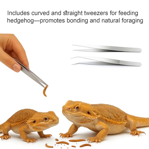 Bearded Dragon Enrichment Kit Toy, Foraging Toys with 100 Plastic Balls, Feeding Tray & Tweezers for Bearded Dragons to Play with – Bearded Dragon Toy for Reptiles