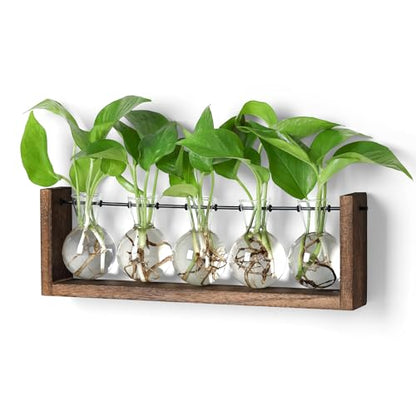 YIBOT Wall Hanging Glass Planter Plant Propagation Vase-5 Bulb Glass Vases | Plant Terrarium with Wooden Stand,Indoor Home Office Living Room Decor Gifts - size: 5Bulb-M