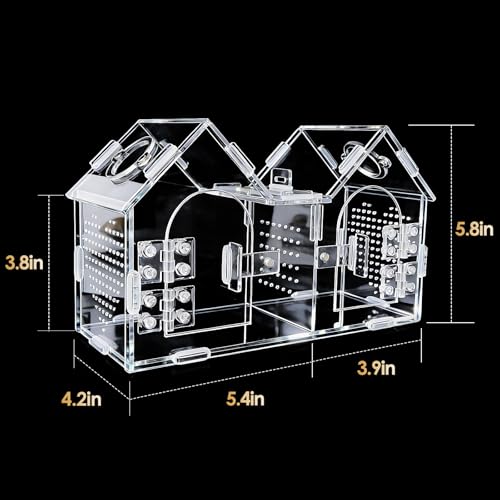 Jumping Spider Enclosure, Acrylic Terrarium with Partition Divider (1-2 Compartments), Dual Magnetic Doors & All-Side Ventilation, Jumping Spiders, Tarantulas, Mantis, GeckosHabitat, 9.6x4.2x5.8