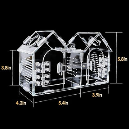Jumping Spider Enclosure, Acrylic Terrarium with Partition Divider (1-2 Compartments), Dual Magnetic Doors & All-Side Ventilation, Jumping Spiders, Tarantulas, Mantis, GeckosHabitat, 9.6x4.2x5.8
