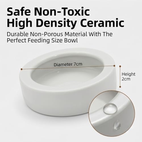 Reptile Food Dish Bowl, 2 Pack Lizard Gecko Ceramic Mealworms Bowls for Leopard Bearded Dragon Chameleon Hermit Crab Dubia Cricket Anti-Escape Superworm Feeder (Medium-1Pack) - size: Medium-1Pack