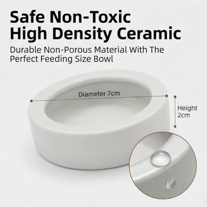 Reptile Food Dish Bowl, 2 Pack Lizard Gecko Ceramic Mealworms Bowls for Leopard Bearded Dragon Chameleon Hermit Crab Dubia Cricket Anti-Escape Superworm Feeder (Medium-1Pack) - size: Medium-1Pack