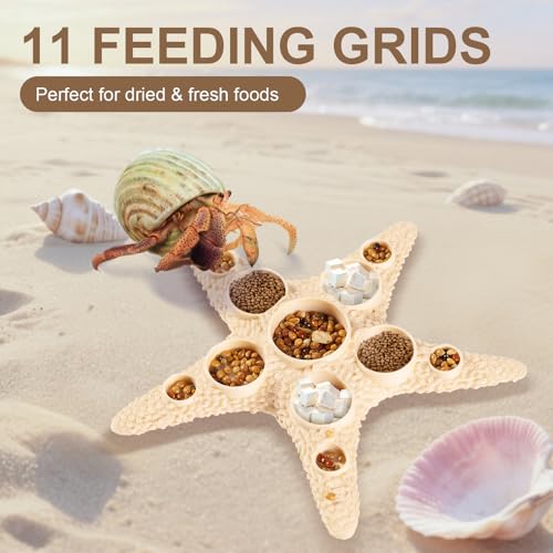 11 Grids Hermit Crab Food Dish, 2 Pack Starfish Shape Food Bowl for Small Hermit Crab, Reptile Water Dish Tank Accessories