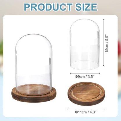 uxcell Glass Cloche Display Dome, 5.9" x 3.5" Glass Dome Display Case, Wood - size: 5.9" x 3.5"
