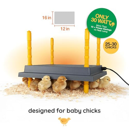 Hatching Time Warmzy 12"x16" Chick Heating Plate – Safe 30W Chicken Coop Heater for 25–30 Chicks with Adjustable Legs | Gentle Low-Heat Brooder Plate for Chicks, Durable Fire-Resistant Chicken Heater - size: 12" x 16" for 25–30 Chicks