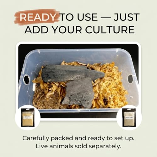Ultra Isopod Habitat Kit - Rottwood + Flake | Live Isopod Bundle Cleanup Crew | Live Arrival Nationwide!