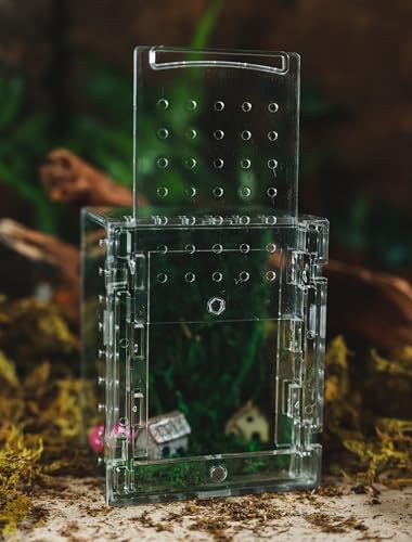 Acrylic Jumping Spider Enclosure -Clear Reptile Habitat Box for Tarantula, Mantis, Insects, Snail, Frog, Caterpillar – Ventilated Mini Terrarium Display Case with Lock Lid & Feeding Port