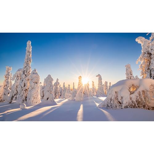 Winter Wonderland Fish Tank Background Sunrise Snow Covered Pine Trees Landscape Aquarium Background Frosty Winter View Terrarium Backgrounds Wintry Sunray Heavy Snow Scene Tank Backgrounds 24x12in - color: Light_Blue, size: 24(W)x12(H)inches/ 60(W)*30cm(