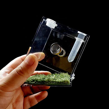 Jumping Spider Micro Big Habitat, Small Pet Insect Breeding Box, 360 Degree High Transparent Reptile Cage, Acrylic Case Mini Carrier for Amphibians, Feeding Container Enclosure Accessories