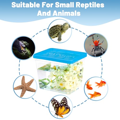 25 Pack Plastic Fish Bowl with Lids, 12 Oz Small Terrariums Carrier Cage | Mini Rectangle Gold Fish Tank, Fishbowl Candy Bowl, Tarantula Enclosure Snake Breeding Case, Fish Box for Pets
