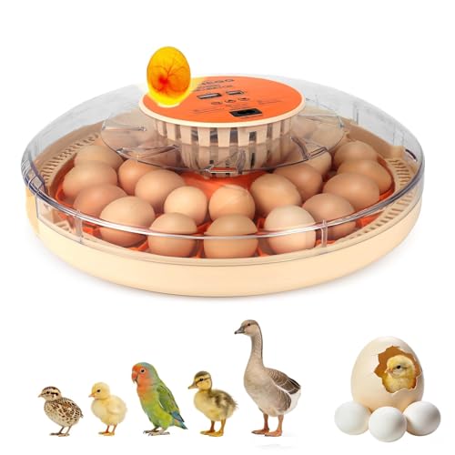 ZEMIRO CHARGE Serie II - 30 Egg Incubator for Experienced Hands-On Hatchers, Auto Egg Turn, Manual Humidity Control (Water Fill), Temperature Control, Real-Time Display, Egg Candler - size: 30-Egg Orange