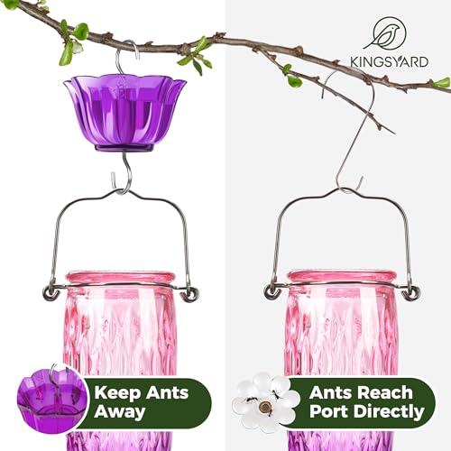 Kingsyard Glass Hummingbird Feeder for Outdoors with Ant Moat | 24 oz, Wide-Mouth Opening, 6 Metal Feeding Ports, Bee Guard, Easy to Clean & Refill Nectar, 360 Degree Perch, Pink & Purple - color: Pink & Purple