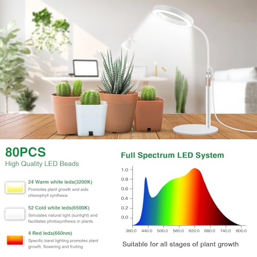 Aumtrly Desk Grow Light Full Spectrum with Base for Indoor Plants Growing | 80 LED, White Halo Design, 24.5-inch Height Adjustable, 6/12/16H Timer, 5 Dimming Levels, 3 Light Modes, Flexible Gooseneck - size: 1 head 24.5inch/white