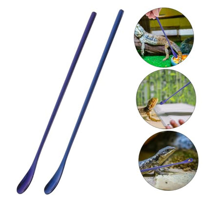 TOYANDONA 2pcs Stainless Steel Reptile Food Spoon Lizard Feeding Scoop for Easy Compact and for Lizards Frogs and Small Animals