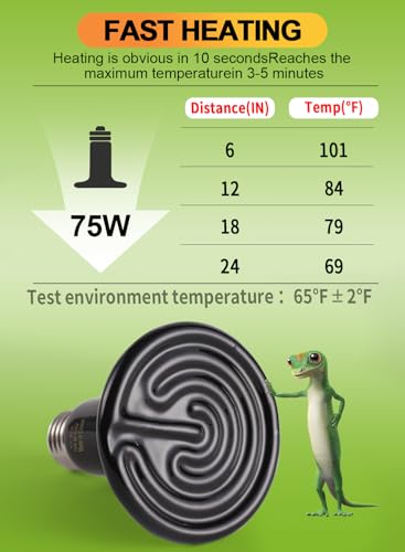 2-Pack 75W Ceramic Heat Lamp with 1-pcs Digital-Thermometer | No Light No Harm, Infrared Heater Emitter Bulbs for Reptiles, Amphibians, Chicken Brooder Coop Lizard Turtle Snake Aquarium