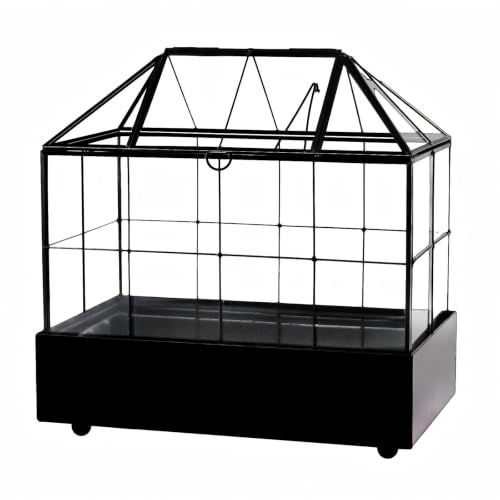 Large Tall Plant Terrarium Glass – Glass Greenhouse Terrarium with Lid and Tray,Indoor Tabletop Orchid Succulent Cacti Terrarium Kit 9.5”X9.8”X5.6”