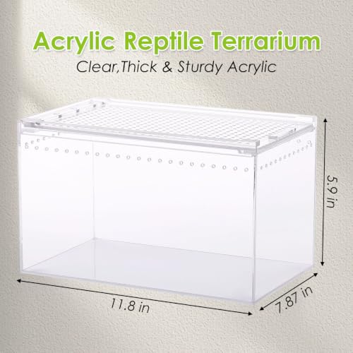 Reptile Terrarium Enclosure 12"x 8"x 6" Acrylic Tarantula Breeding Box Magnetic Hermit Crab Habitat Tank Transparent Jumping Spider Cage for Insect Snail Amphibians Sling Isopods - size: L: Standard Version