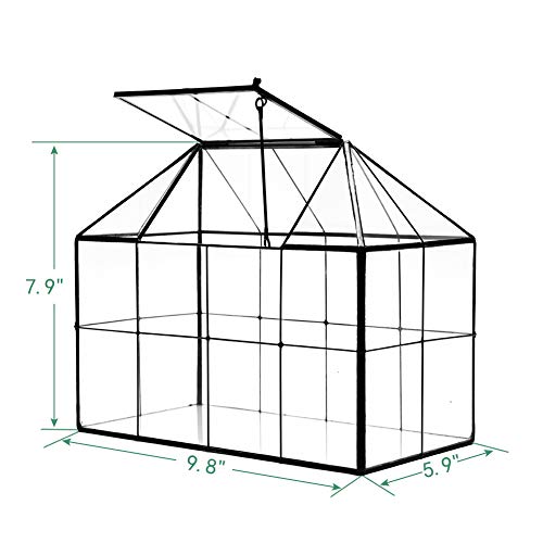 Large Glass Terrarium House Planter – Succulent Plant Glass Greenhouse with lid 9.8"X7.9"X5.9" NA