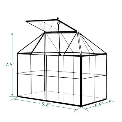 Large Glass Terrarium House Planter – Succulent Plant Glass Greenhouse with lid 9.8"X7.9"X5.9" NA