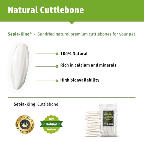 Sepia King - Large - Cuttlebone for Birds, Tortoises, Snails, Reptiles 5.5-7" - 8.8oz - 100% Natural Calcium Supplement, Food and Toys for Parakeets, Turtles
