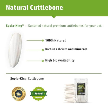 Sepia King - Large - Cuttlebone for Birds, Tortoises, Snails, Reptiles 5.5-7" - 8.8oz - 100% Natural Calcium Supplement, Food and Toys for Parakeets, Turtles
