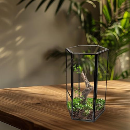 Jumping Spider Accessories, Glass Front Opening Terrarium with Metal Frame and Vent Holes, Insect Habitat Enclosure for Jumping Spiders, Black Widows, Praying Mantis