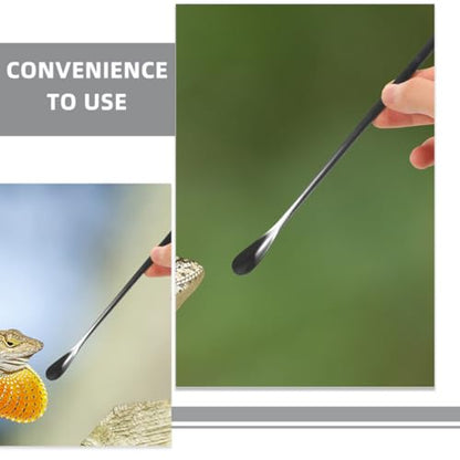 NOLITOY 3pcs Pet Food Spoon for Small Animals Feeding Tool for Bearded Dragons Lizards and Reptiles Compact Design for Easy Use - color: As Shown 2