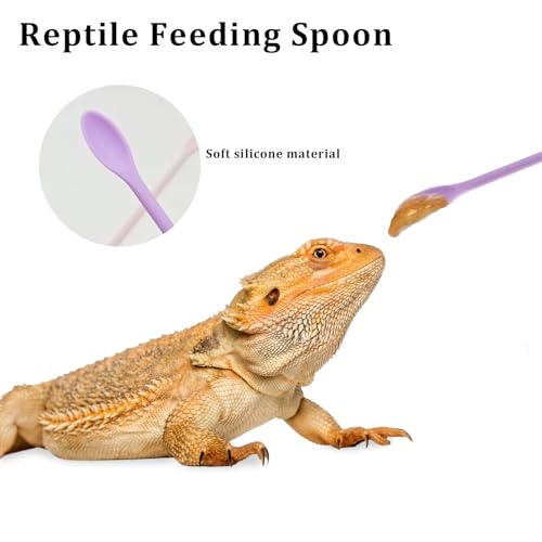 2Pcs Reptile Spoon, Reptile Powder Fruit Mixing Stirring Food Long Handle Feeding Tool Fit Crested Gecko Gargoyle Bearded Dragon