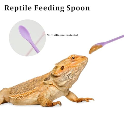 2Pcs Reptile Spoon, Reptile Powder Fruit Mixing Stirring Food Long Handle Feeding Tool Fit Crested Gecko Gargoyle Bearded Dragon
