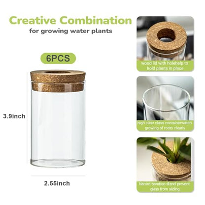 Glass Plant Propagation Station Set of 6, Modern Desktop Flower Vase for Succulent Cuttings, Home Office Decoration, Ideal Housewarming Gift for Living Room, Bedroom