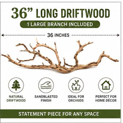 Koyal Wholesale California Driftwood with Natural Brown Branches, 36-Inch Large Driftwood Decor - size: 36 Inches