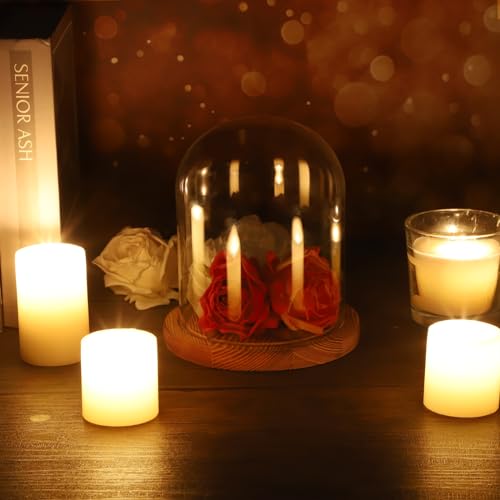 JUXYES 4.5x6 Inch Clear Glass Display Dome Cloche with Walnut Wood Base | Transparent Dome Cloche Bell Terrarium Jar, Glass Dust Proof Display Stand for Plants, Collectibles, Figurines, Keepsakes