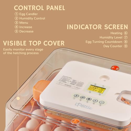 iPettie Nestasy ProHatch56 Egg Incubator with Automatic Egg Turning and Humidity Temperature Control, 56 Eggs Capacity for Hatching Eggs, Chicken Eggs, Duck Eggs, Temperature Adjustment and Alarms