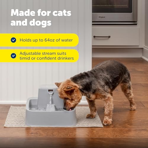 PetSafe Oasys Pet Fountain, 1/2 Gallon, Cats & Small Dogs, Extra Filters | Adjustable Flow Control, Whisker-Friendly Tray, Extra 12-Pack Replaceable Carbon & 2-Pack Foam Filters Included - style: Fountain + 12-Pack Filters + 2-Pack Foam Filters