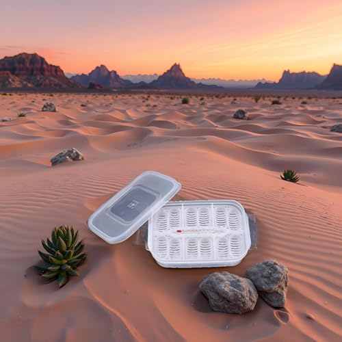 Reptile Breeding Box, Plastic Reptile Egg Incubators Hatchery Box with Transparent Lid for Hatching, Lizards, Lions Mane, Reptiles