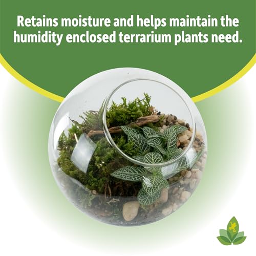 Josh's Frogs Sprig & Stone Terrarium Soil, 4 Quart | For Open and Closed Terrariums - size: 4 Quart