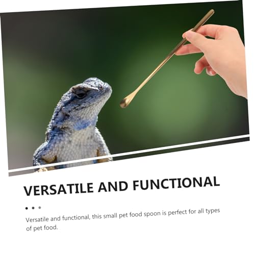 YARNOW 2pcs Sturdy Reptile Food Spoon Small Pet Feeding Tool for Lizard and Turtle Stainless Steel Easy to Use