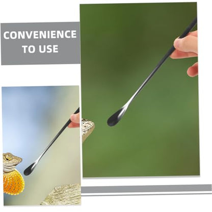 3pcs Small Reptile Feeding Spoon Lizard Food Scoop Multi-Functional Pet Spoon for Animals