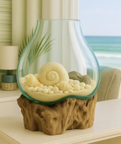 OMA Hand Blown Molten Glass on Driftwood Terrarium Vase or Planter – Recycled Glass & Natural Wood for Coastal & Boho Home Décor (12"–14" High) - size: 12" - 14" High