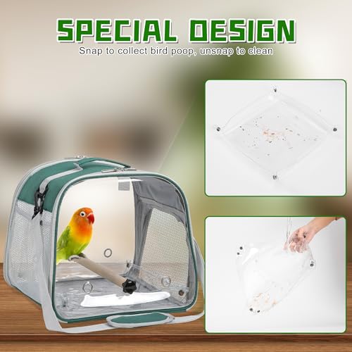 Small Bird Carrier, Large Window Travel Cage with Stand and Easy Clean Tray for Parrot Parakeet Cockatiels, Lightweight and Portable, Green - color: Green