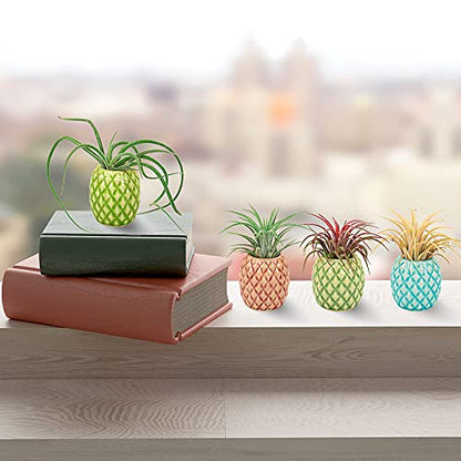 4 Pack Air Plant Holder Unique, Cute Pineapple Air Plant Stand Wall Planter, Ceramic Tillandsia Airplants Holders Hanging Wall Decor for Home Office (Pineapple-Small (1 x 2.1 in)) - size: Pineapple-Small (1 x 2.1 in)