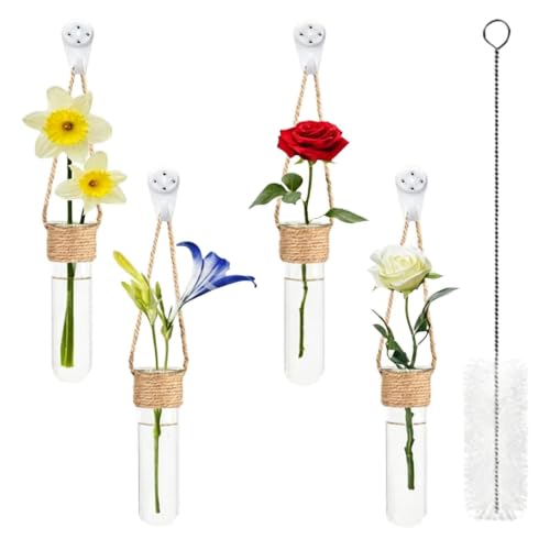 Plant Propagation Station 4 Pieces Clear Glass Planter | Plant Test Tube Wall Terrarium for Home Office Bedroom Living Room
