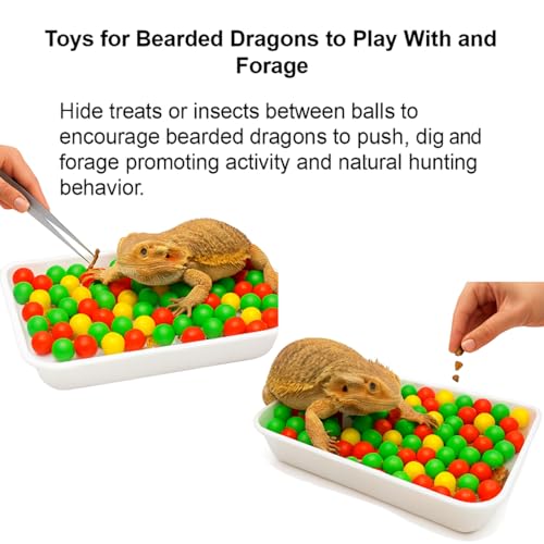 Bearded Dragon Enrichment Kit Toy, Foraging Toys with 100 Plastic Balls, Feeding Tray & Tweezers for Bearded Dragons to Play with – Bearded Dragon Toy for Reptiles
