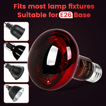 75W Infrared Heat Lamp Bulbs – 2-Pack Red IR Basking Light for Reptile & Amphibian, Silent Night-Time Heating, E26 Base, Bearded Dragon,Lizard,Turtle,Chicken - color: Red, size: 75W