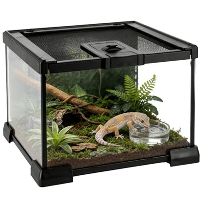 Mini Reptile Glass Terrarium 7.9 x 7.9 x 5.7, Full View Rainforest Vivarium Tank, Stackable Amphibian Enclosure Cage for Turtles, Geckos, Frogs, Hermit Crabs, No Installation Needed - size: 7.9"L x 7.9"W x 5.7"H
